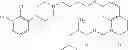 Fig. 604 - Process for synthesizing oxidized lactam compounds