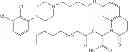 Fig. 626 - Process for synthesizing oxidized lactam compounds