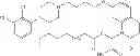 Fig. 627 - Process for synthesizing oxidized lactam compounds