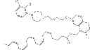 Fig. 664 - Process for synthesizing oxidized lactam compounds
