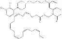 Fig. 668 - Process for synthesizing oxidized lactam compounds