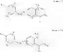 Fig. 674 - Process for synthesizing oxidized lactam compounds