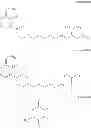 Fig. 680 - Process for synthesizing oxidized lactam compounds