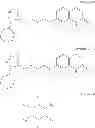 Fig. 681 - Process for synthesizing oxidized lactam compounds