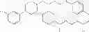 Fig. 716 - Process for synthesizing oxidized lactam compounds