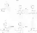 Fig. 06 - Process for the preparation of key intermediates for the synthesis of statins or pharmaceutically acceptable salts thereof