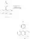 Fig. 145 - Process for the preparation of key intermediates for the synthesis of statins or pharmaceutically acceptable salts thereof