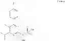 Fig. 183 - Process for the preparation of key intermediates for the synthesis of statins or pharmaceutically acceptable salts thereof
