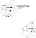 Fig. 05 - Process for preparing oxymorphone, naltrexone, and buprenorphine