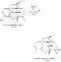 Fig. 06 - Process for preparing oxymorphone, naltrexone, and buprenorphine