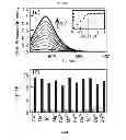 Fig. 07 - Fluorescent probes for detection of copper