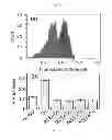 Fig. 08 - Fluorescent probes for detection of copper