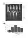 Fig. 10 - Fluorescent probes for detection of copper