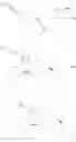 Fig. 34 - Synthesis of an antiviral compound