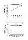 Fig. 02 - Methods and systems for the synthesis of ultrabright fluorescent silica particles capable of measuring temperature
