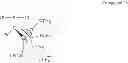 Fig. 31 - Cyclopropenylidene-stabilized phosphenium cations