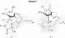 Fig. 09 - Ruthenium-diamine complex and method for producing optically active compound