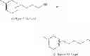 Fig. 11 - Ruthenium-diamine complex and method for producing optically active compound