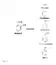 Fig. 07 - Catalysts for hydrodeoxygenation of oxygenated hydrocarbons