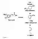 Fig. 08 - Catalysts for hydrodeoxygenation of oxygenated hydrocarbons