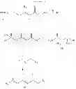 Fig. 08 - Method for manufacturing phosphonocrotonic acid derivative