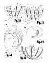 Fig. 10 - VENTRICULAR FUNCTION ASSISTING DEVICES AND METHODS OF USE THEREOF