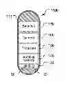 Fig. 01 - In Vivo Capsule Device with Electrodes