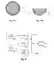 Fig. 03 - In Vivo Capsule Device with Electrodes