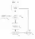 Fig. 09 - Device to detect and treat Apneas and Hypopnea