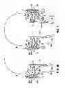 Fig. 15 - OBTAINING PHYSIOLOGICAL MEASUREMENTS USING EAR-LOCATED SENSORS