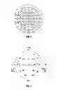 Fig. 06 - EXPANDED FREQUENCY ELECTROENCEPHALOGRAPHY/ELECTROCARDIOGRAPHY LIGHT APPARATUS AND METHOD OF USE