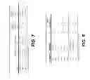 Fig. 08 - S&M TO IDENTIFY A SUBGROUP OF ADHD AT HIGHER RISK FOR COMPLICATING CONDITIONS