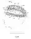 Fig. 06 - Systems and methods to gather and analyze electroencephalographic data
