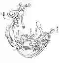 Fig. 28 - Systems and methods to gather and analyze electroencephalographic data
