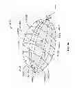 Fig. 40 - Systems and methods to gather and analyze electroencephalographic data