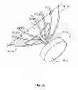 Fig. 41 - Systems and methods to gather and analyze electroencephalographic data