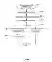 Fig. 49 - Systems and methods to gather and analyze electroencephalographic data