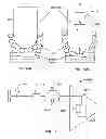 Fig. 16 - Systems and methods to gather and analyze electroencephalographic data