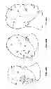 Fig. 22 - Systems and methods to gather and analyze electroencephalographic data