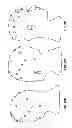 Fig. 23 - Systems and methods to gather and analyze electroencephalographic data