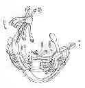 Fig. 28 - Systems and methods to gather and analyze electroencephalographic data