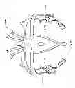 Fig. 30 - Systems and methods to gather and analyze electroencephalographic data