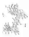 Fig. 33 - Systems and methods to gather and analyze electroencephalographic data