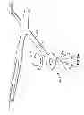 Fig. 35 - Systems and methods to gather and analyze electroencephalographic data