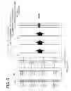 Fig. 07 - OBJECT INFORMATION ACQUIRING APPARATUS