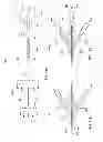 Fig. 11 - Occlusion perfusion catheter