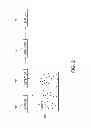 Fig. 05 - Systems and methods for pedal revascularization assessment