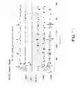 Fig. 12 - Method for analysis of complex rhythm disorders