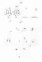 Fig. 16 - QEEG Correlates of Effective Cognitive Functioning (memory and problem solving) in Diverse Clinical Conditions