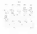 Fig. 17 - QEEG Correlates of Effective Cognitive Functioning (memory and problem solving) in Diverse Clinical Conditions